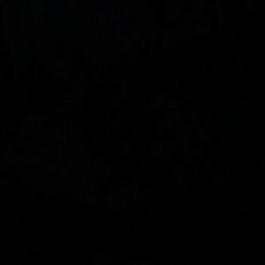 Meet your Posher, Tania